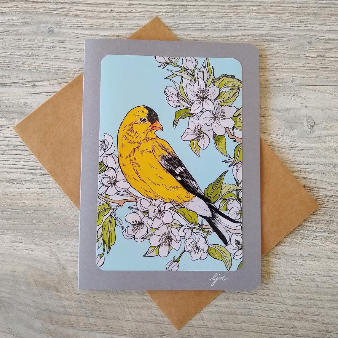 Wild Birds Card Set / 5x7 Blank Cards / Set of 5 Bird Art Cards - Etsy