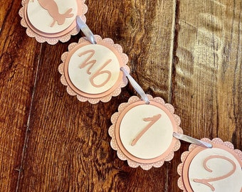 Some Bunny Birthday Monthly Milestone Banner - Easter Birthday - Spring Birthday banner