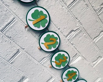 The Lucky One - St Patricks Day - Birthday Monthly Milestone Banner