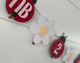 Little Ladybug - Little Love bug Bday Monthly Milestone Banner - PINK ladybug