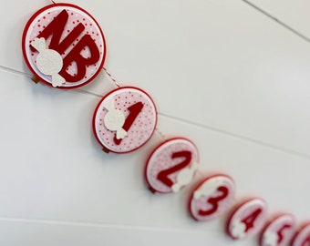 Christmas Birthday - Peppermint Swirl Milestone banner - holiday birthday - Monthly Milestone Banner - First Birthday - peppermint candyland