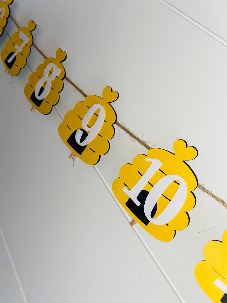 Honey Bee Birthday Monthly Milestone Banner