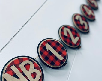 Christmas Birthday - holiday birthday - Monthly Milestone Banner - First Birthday - BUFFALO CHECK