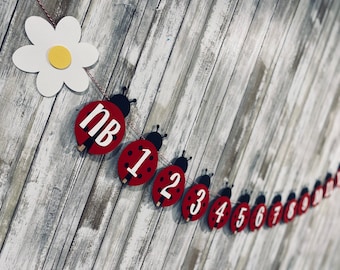 Little Ladybug Bday Monthly Milestone Banner