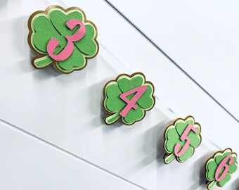The Lucky One - St Patricks Day - Birthday Monthly Milestone Banner - rainbow party - lucky girl