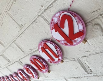 Valentines Birthday - Little Love - Birthday Monthly Milestone Banner - hearts