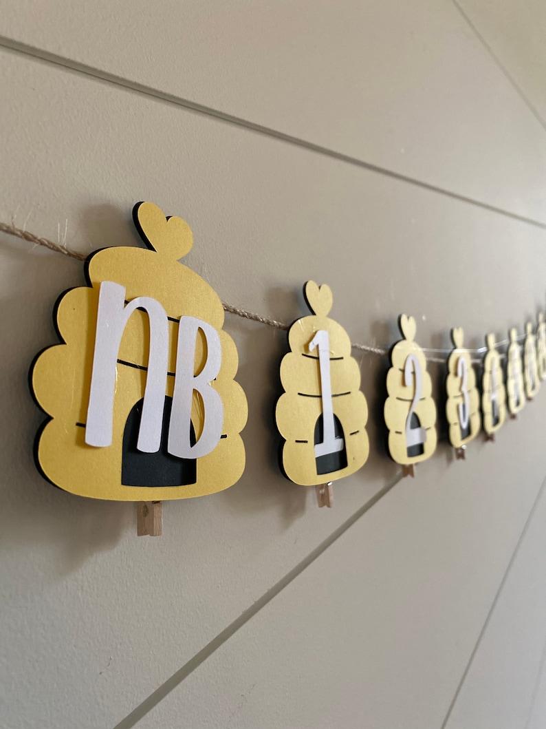 Honey Bee Birthday Monthly Milestone Banner