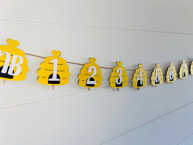 Honey Bee Birthday Monthly Milestone Banner