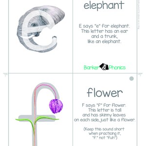 May include: A printable alphabet flashcard featuring the letter E and an illustration of an elephant. The text reads "E says 'e' for elephant. This letter has an ear and a trunk, like an elephant."  Barker Phonics.