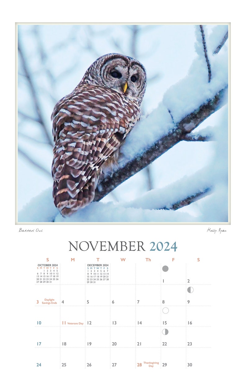 Holly's Birds of Maine 2024 Calendar of Birds in and Around Holly's