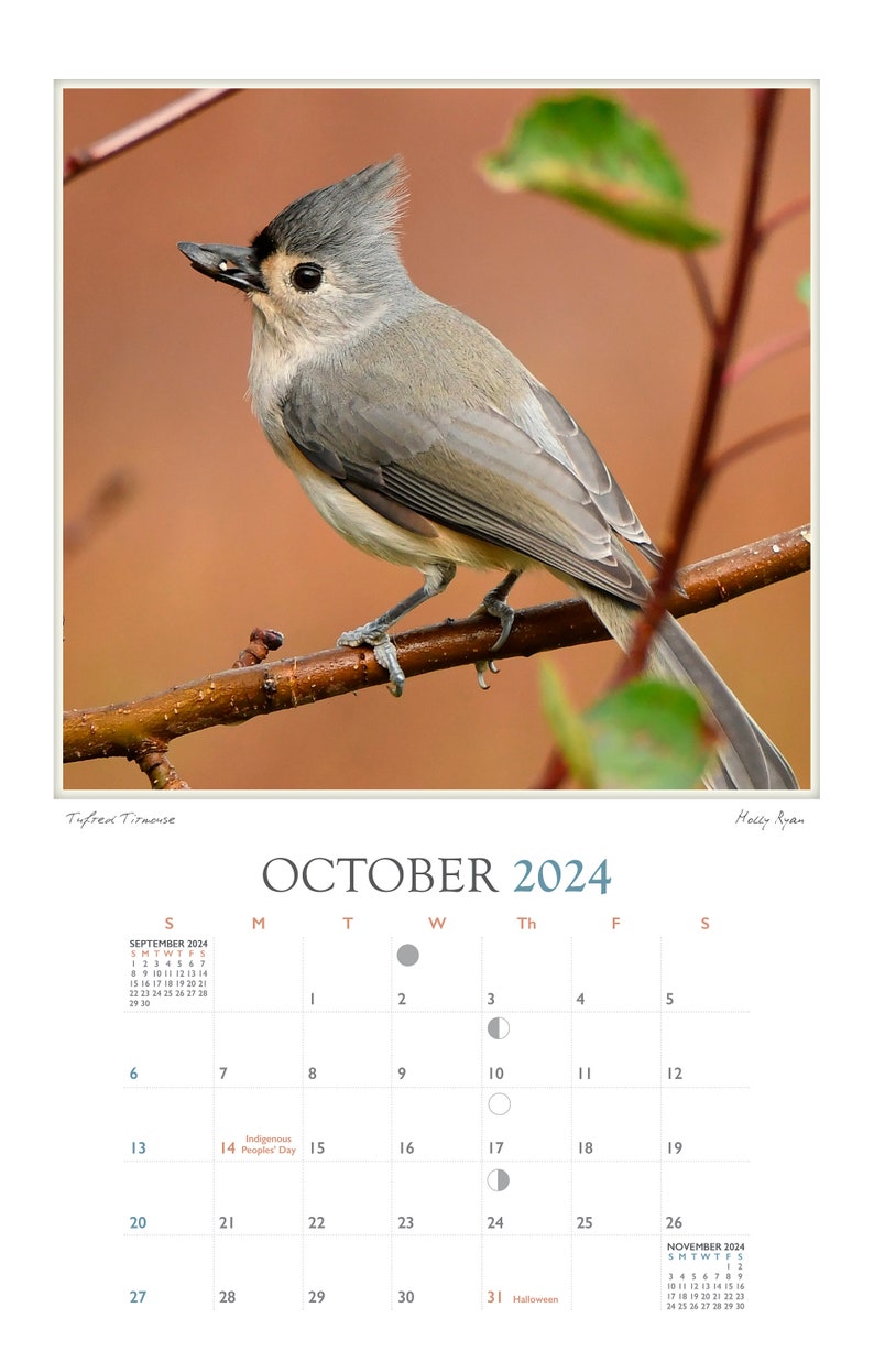 Holly's Birds of Maine 2024 Calendar of Birds in and Around Holly's