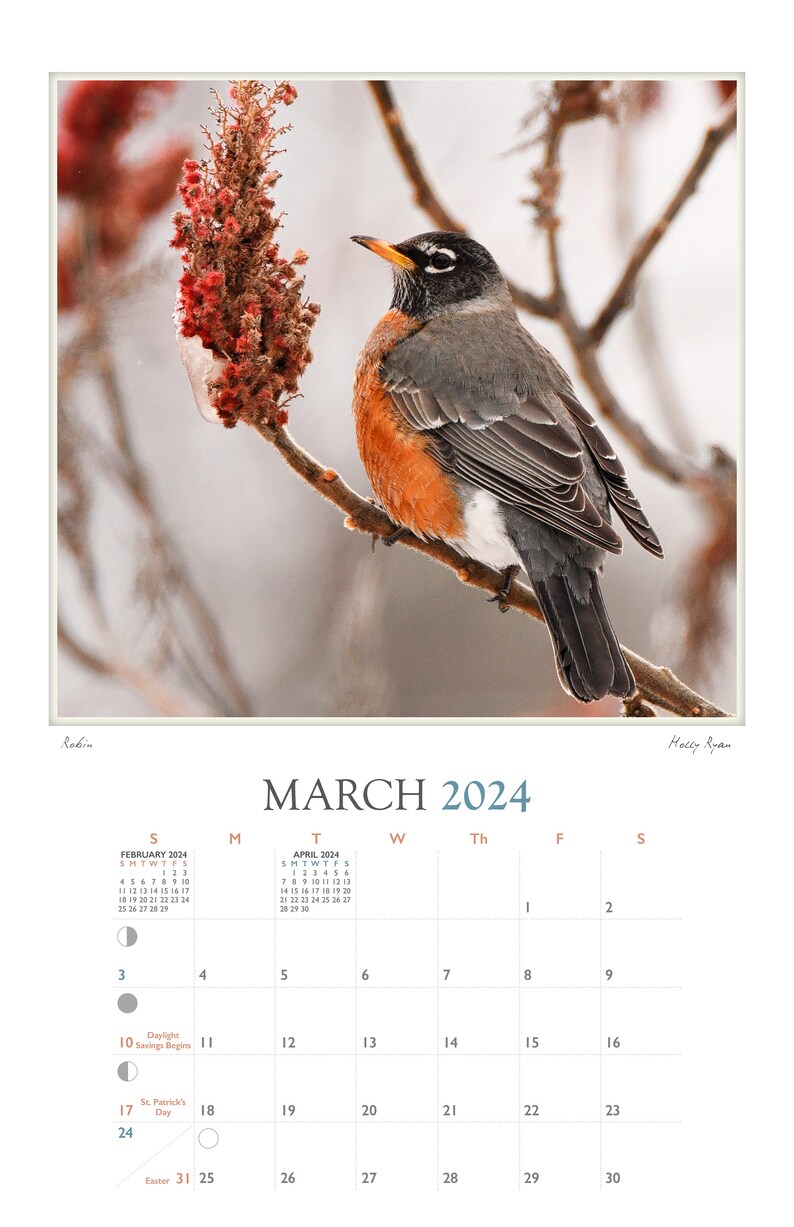 Holly's Maine 2024 Calendar of Scenes From Eustis to Belfast, Maine by