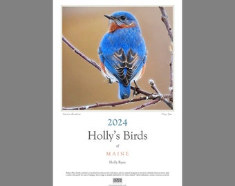 Holly's Birds of Maine - 2024 calendar of birds in and around Holly's backyard in Unity, Maine by Holly Ryan