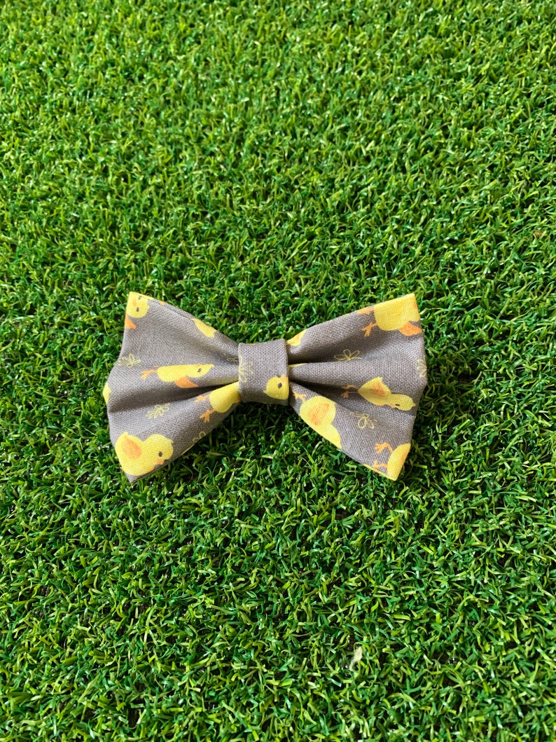 Yellow Bellie