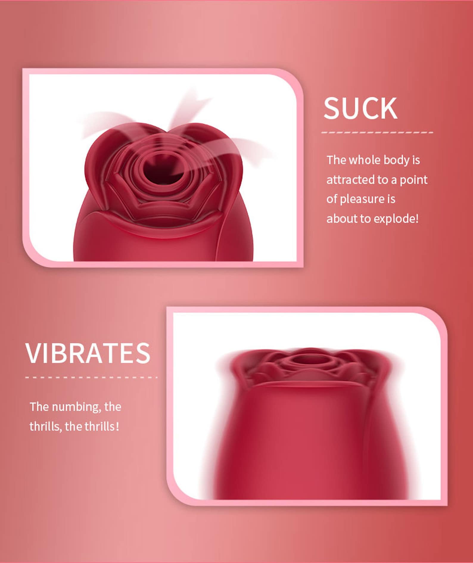rose vibration