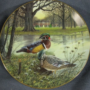 Living With Nature - Jerner&#39;s Ducks - The Wood Duck