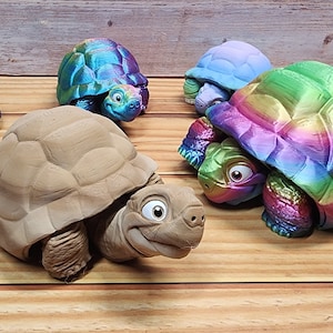 May include: Five colourful turtle figurines, each with a unique shell design. The turtles are made of plastic and have a glossy finish. The shells are painted in shades of blue, green, purple, and brown.