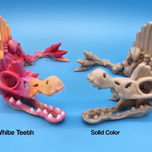 Pu&ograve; includere: Due scheletri di dinosauro stampati in 3D, uno con denti bianchi e un gradiente rosa e arancione, l'altro in beige solido.  "White Teeth" e "Solid Color" sono etichettati sotto ogni scheletro.