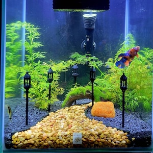 Aquarium Lamp Etsy