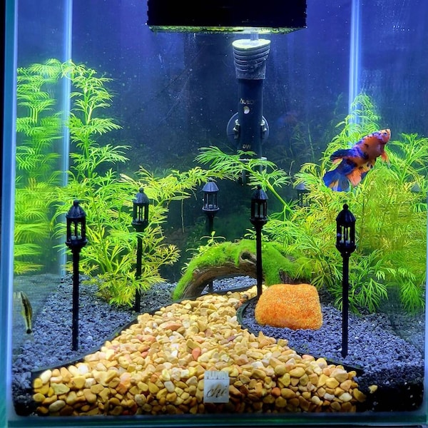 Aquarium Decor Kit Etsy