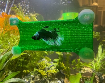 Best tank decorations for betta fish hotsell