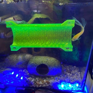 11 colors SeeShelter® Betta Tunnel Gemstone UV Green