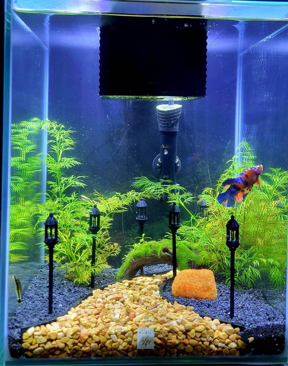 GALLION XXL - Décors Aquarium