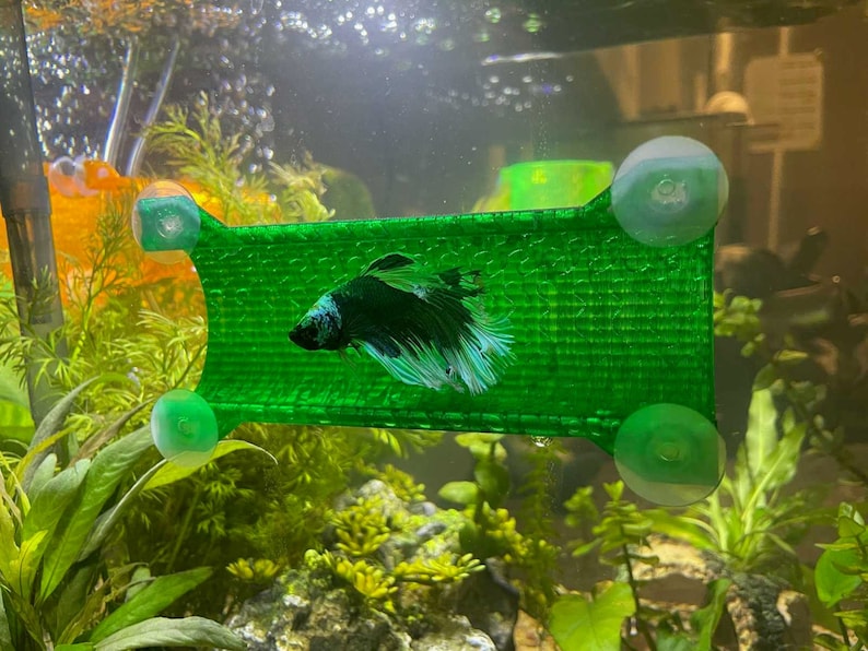 11 colors SeeShelter® Betta Tunnel Gemstone Green
