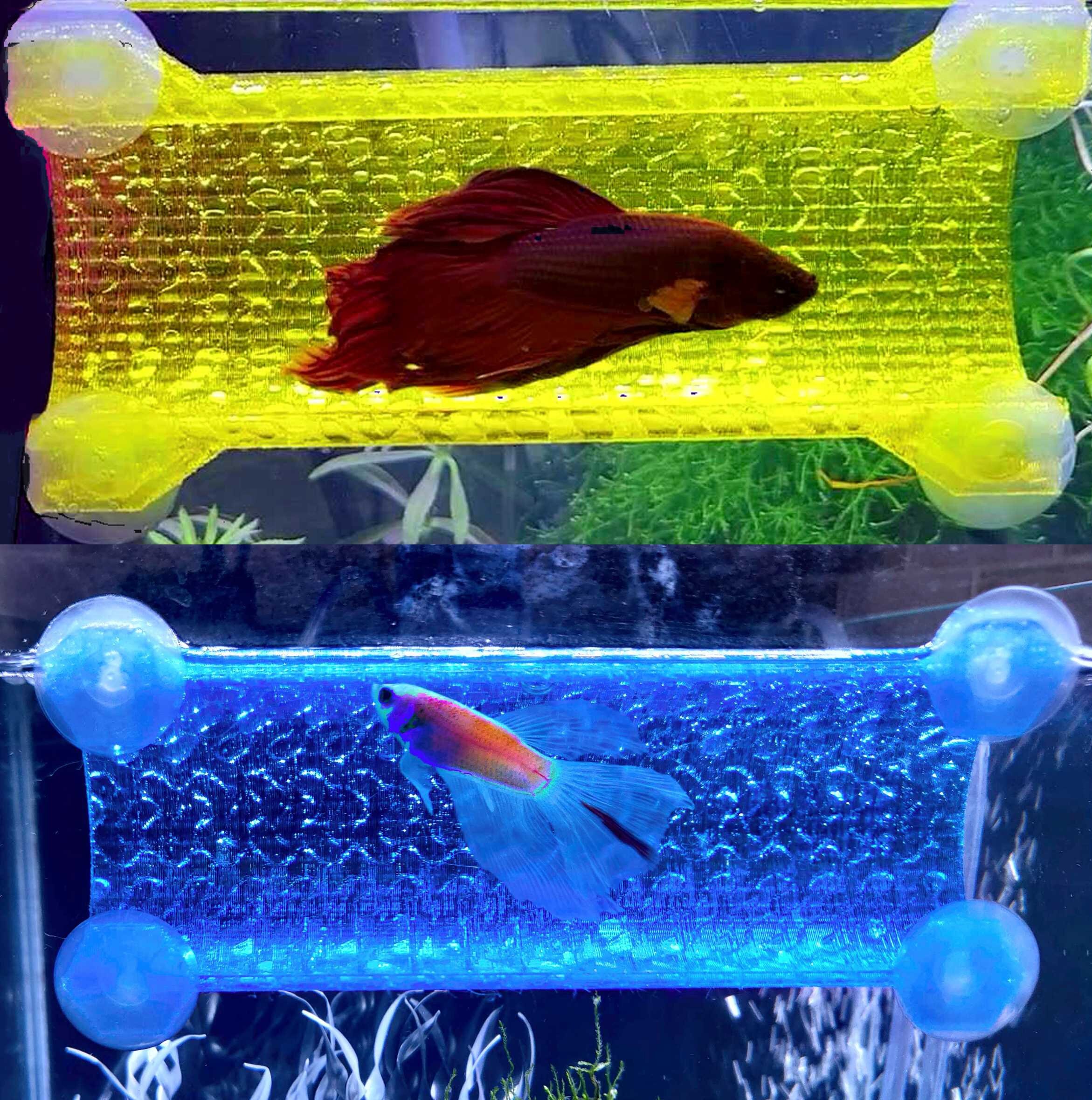 SeeShelter Betta Tunnels —