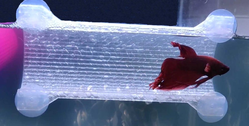 11 colors SeeShelter® Betta Tunnel Gemstone Clear