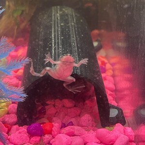 11 colors SeeShelter® Betta Tunnel Gemstone image 5