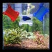 SeeShelter Mini/Nano Hospital Tunnel - 'Gemstone Collection' - Fish Tank Decor for Aquariums & Terrariums 