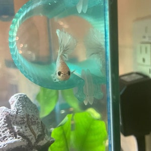 11 colors SeeShelter® Betta Tunnel Gemstone Aqua