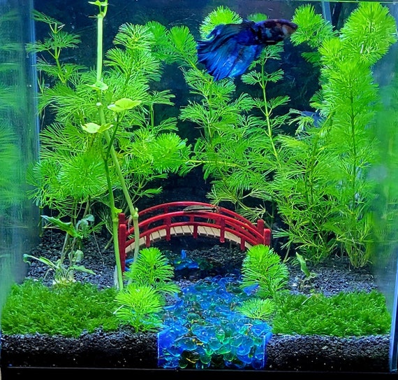 Fish Tank Decoration Ideas (with Artificial Grass) Fish Tank Setup 