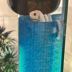 11 colors SeeShelter® Betta Tunnel Gemstone image 8