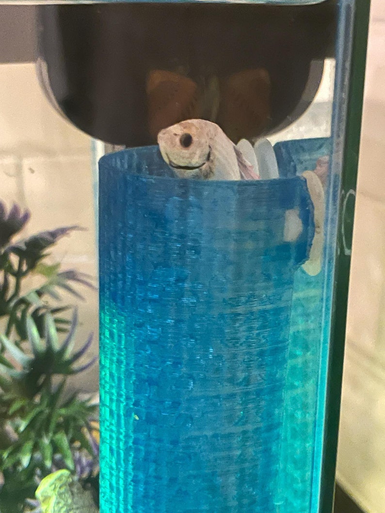 11 colors SeeShelter® Betta Tunnel Gemstone image 8