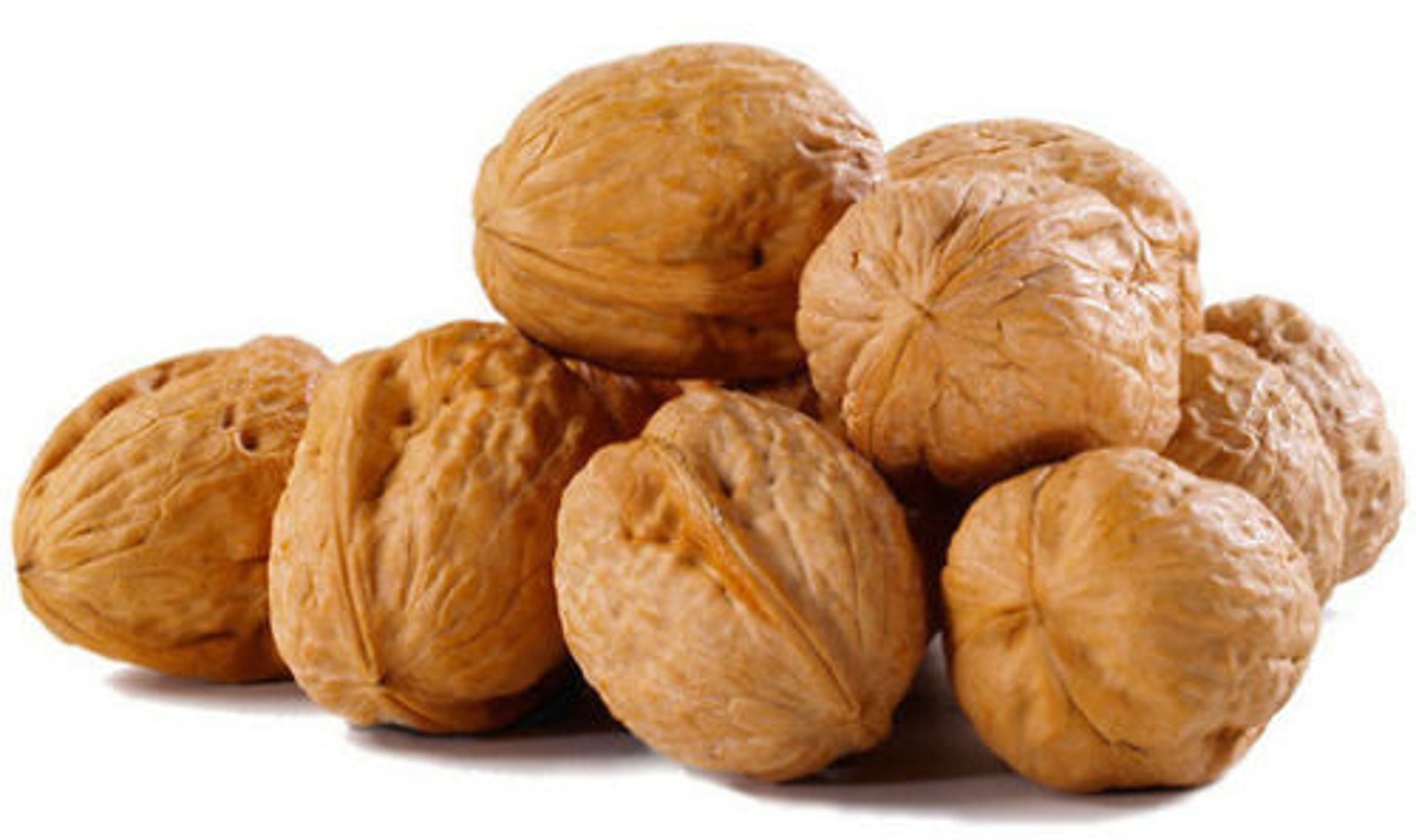Indian Organic Whole in Shell Walnuts akhrot Dry Fruits Free Shipping