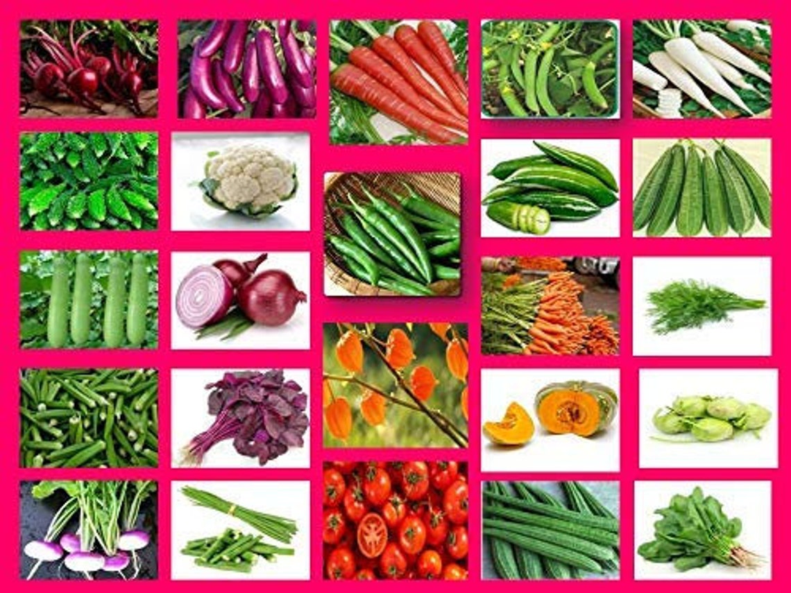 100 Pure Indian Organic Vegetable Fruits and Herb Seeds Etsy