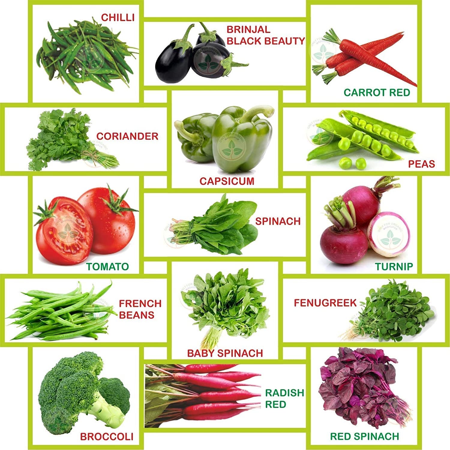 Vegetables list. Овощи список. Семена овощей. Все овощи список. Овощи список названий.
