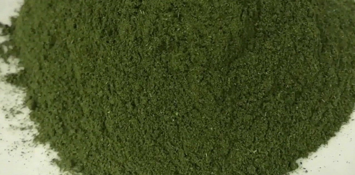 Indian Ayurveda Ground Dry Mint Leaf Powder pudina Powder Etsy