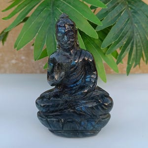 Puede incluir: Una estatua de Buda de piedra oscura tallada en posición de meditación sentado. La estatua es de un color azul-negro profundo e iridiscente, con detalles intrincados. Se asienta sobre una base de flor de loto, con follaje verde en el fondo.