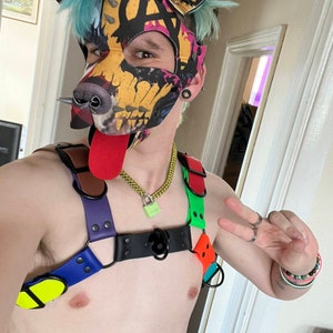 Heavy Duty Rainbow &#39;Pride&#39; Harness - Custom to your measurements