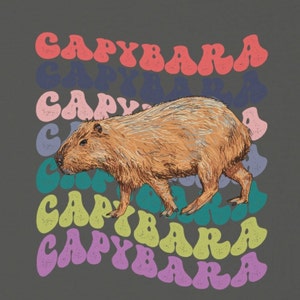 K&ouml;nnte beinhalten: Eine Cartoon-Illustration eines Capybaras mit dem Wort "Capybara", das in einem Regenbogen von Farben in einer Retro-Schrift wiederholt wird.