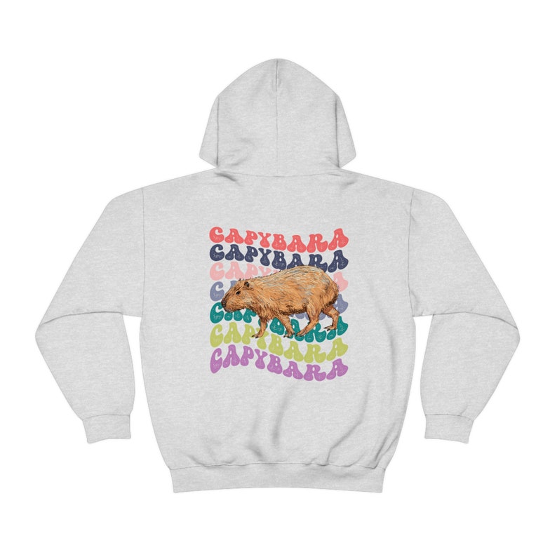 Capybara Shirt, Capybara Sweatshirt, Capybara Hoodie, Rückendruck Retro Hoodie, Capybara Geschenk, ästhetischer Hoodie, Tier Hoodie Ash