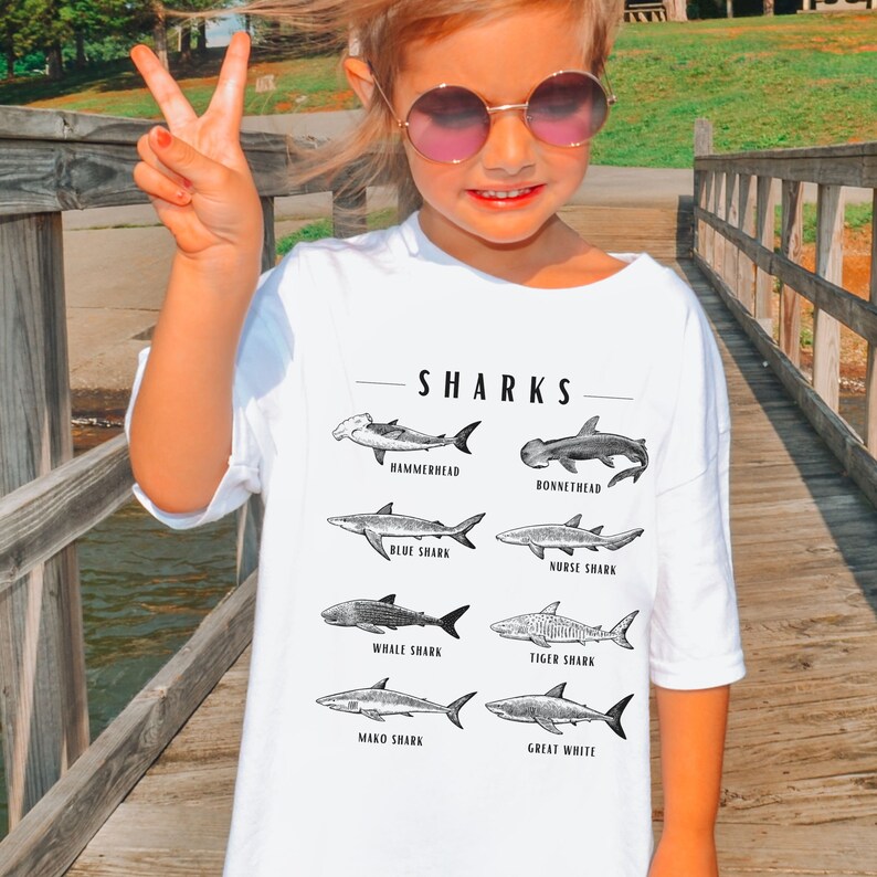 May include: White t-shirt with a black graphic of different types of sharks, including a hammerhead, bonnethead, blue shark, nurse shark, whale shark, tiger shark, mako shark, and great white shark. The text "SHARKS" is printed above the graphic.