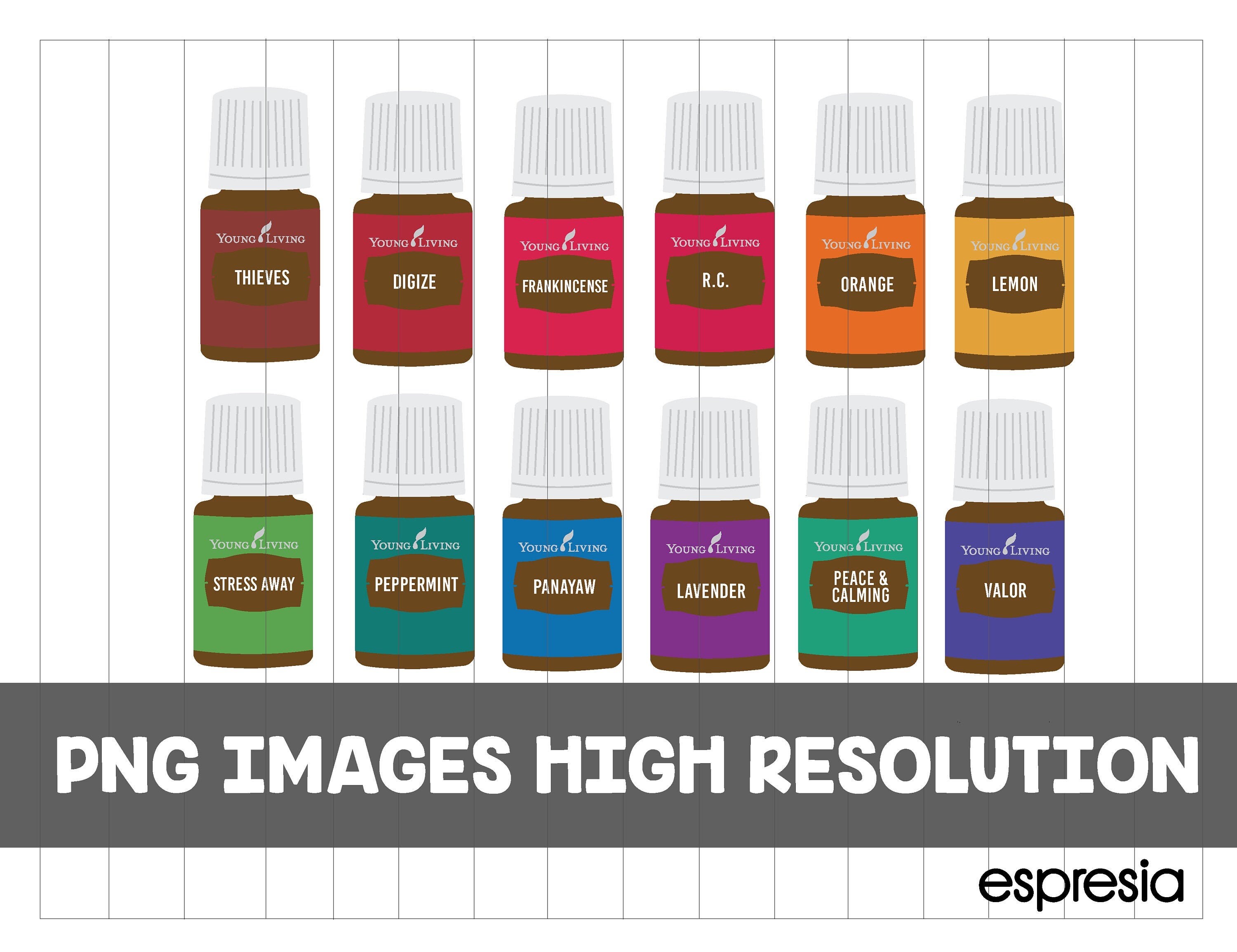 Australia Young Living comenzó Kit Clip Art Essential Oil Etsy