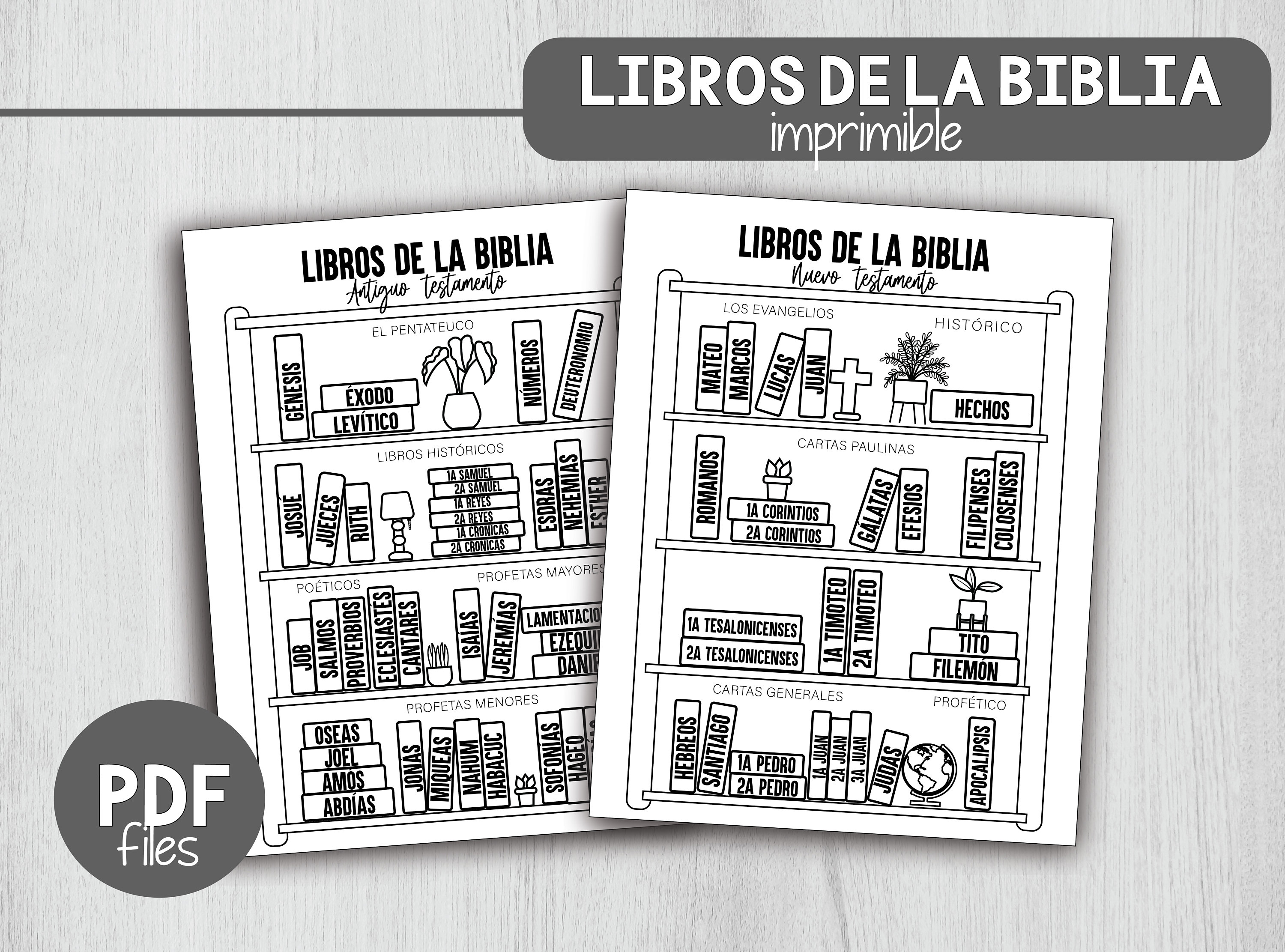 Livres de la bibliothèque, liste de contrôle lectura de la biblia, actividad para ninos, coloring pages for kids, colorear and aprender libros de la biblia