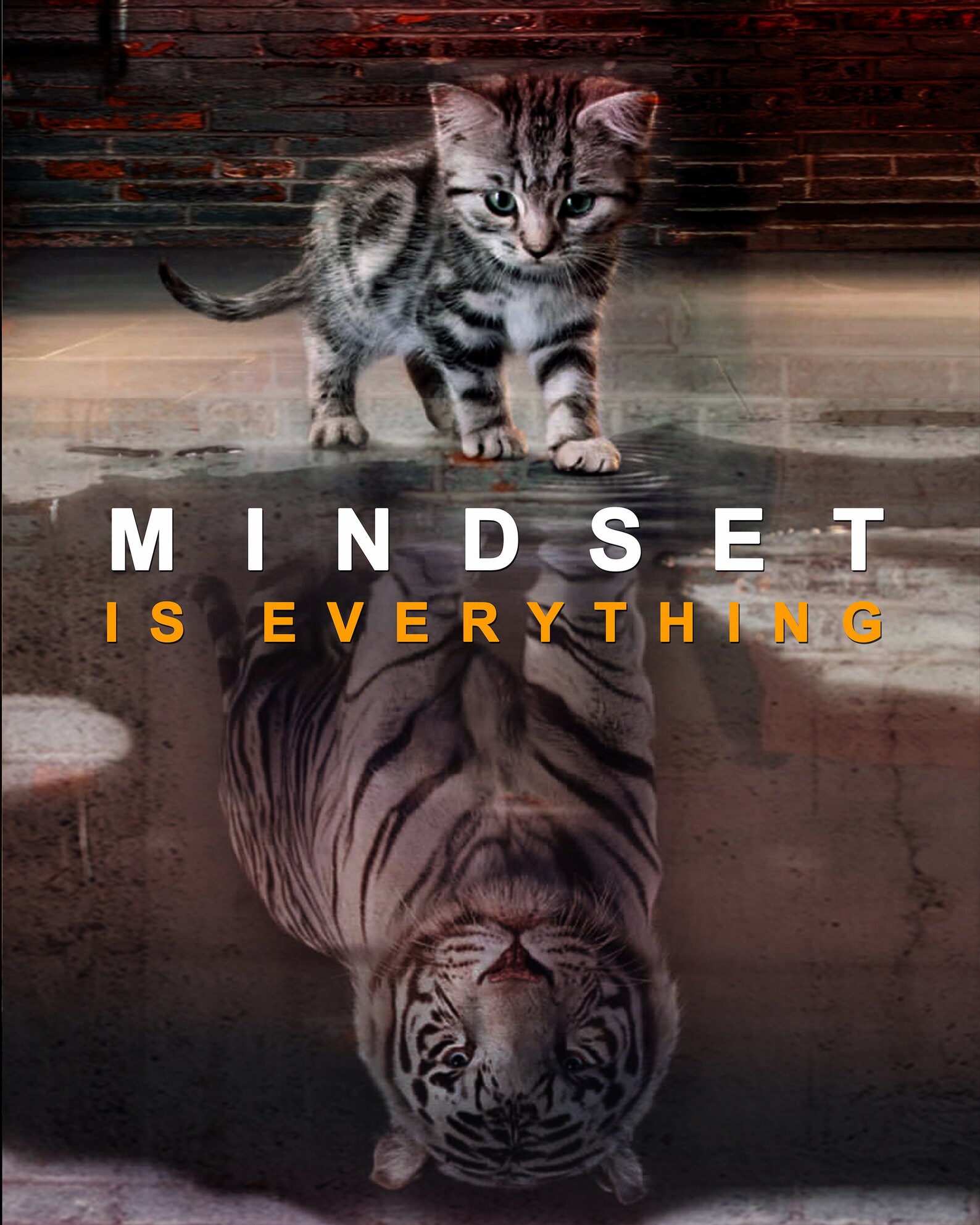 Kitten and Tiger Mirror Message Canvas Cat & Tiger Motivational Canvas