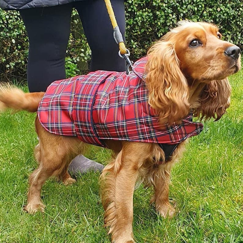 Waterproof Dog Coat Fleece Lined Royal Stewart Tartan Warm Etsy UK