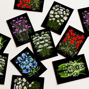 May include: Several black cards showcasing botanical illustrations of flowers such as red poppies, white daisies, and purple thistles. Each card has the flower's name in a script, creating a visually appealing arrangement.